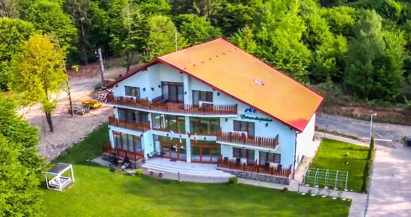 Bed and Breakfast Casuta Din Padure Dragus Exterior foto