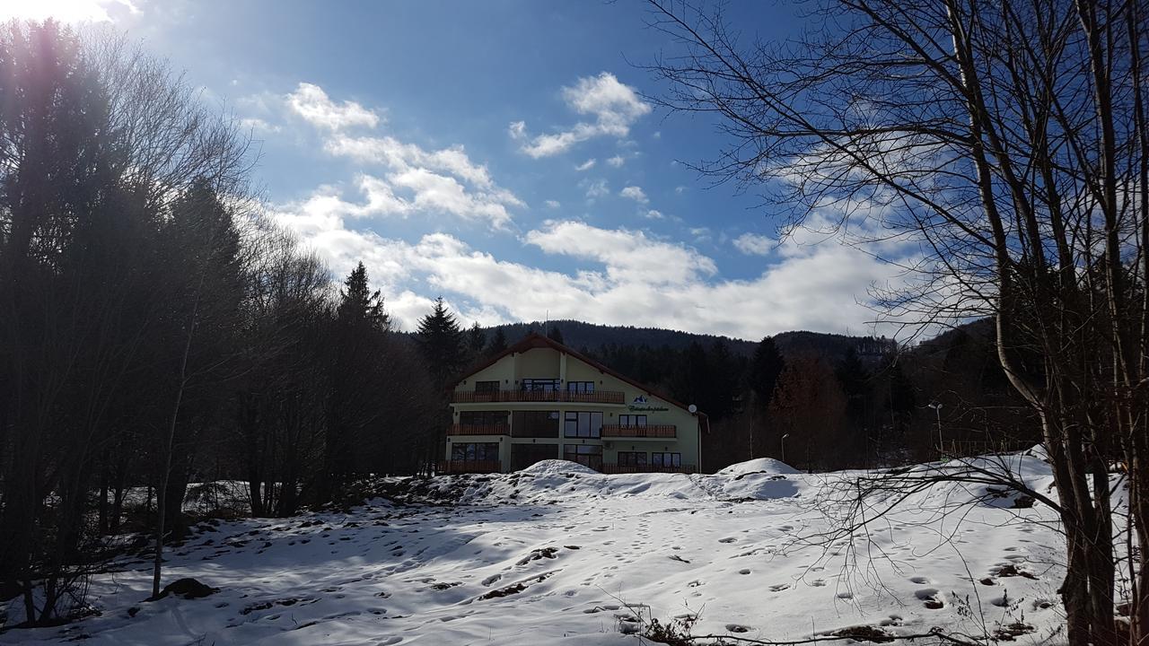 Bed and Breakfast Casuta Din Padure Dragus Exterior foto