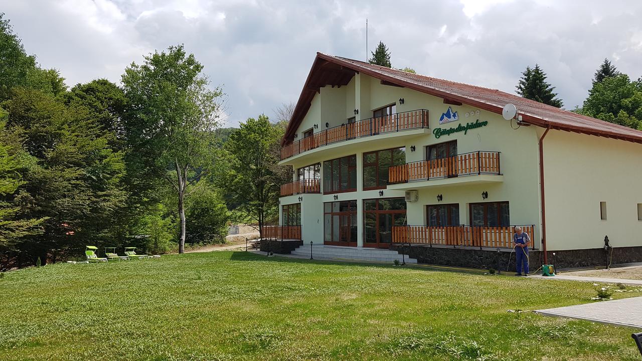 Bed and Breakfast Casuta Din Padure Dragus Exterior foto