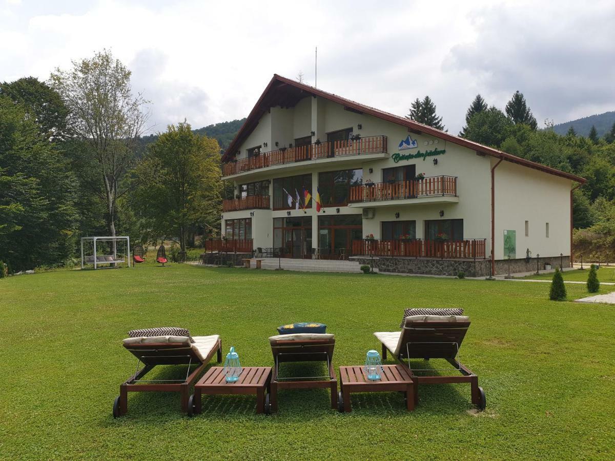Bed and Breakfast Casuta Din Padure Dragus Exterior foto